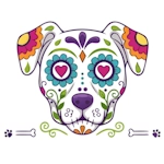 dtdb-logo